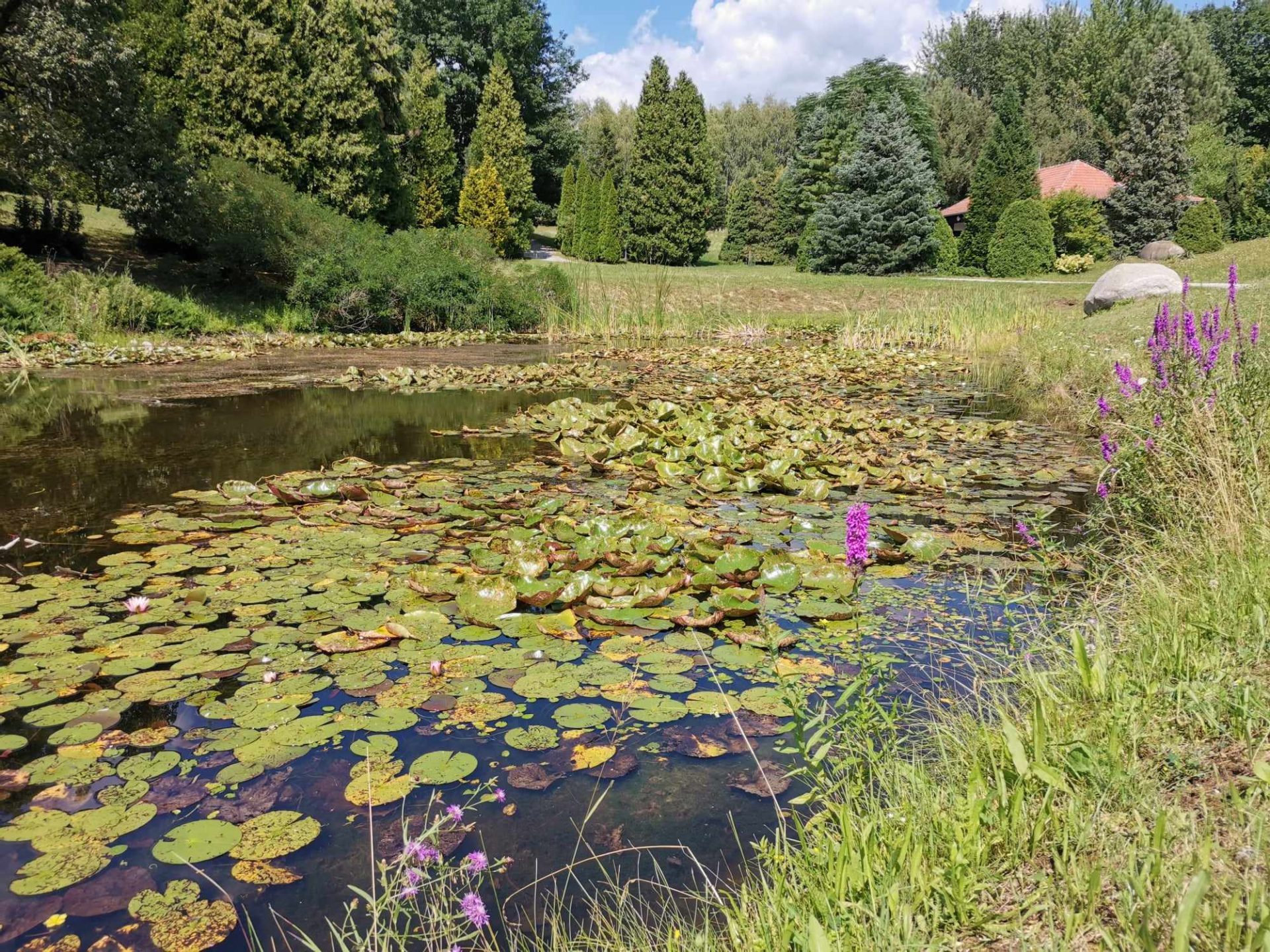 357349375 1473866566700322 8624543870546070332 n Za hranicami Juhu: Čaro slovenskej zelene – ktoré záhrady, parky a arboréta by ste určite mali navštíviť?