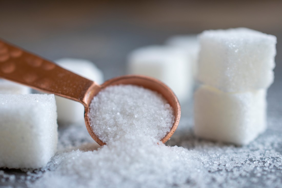 a spoonful of sugar with sugar cubes 2022 11 07 10 05 10 utc Novozámockí živnostníci – spoznajte úspešných podnikateľov minulosti! (1. časť)