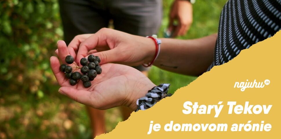 aronia Pestovanie arónie má svoje miesto aj na Slovensku. V Starom Tekove sa jej venuje rodinná firma