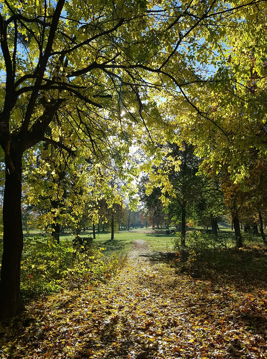 dana kelleova palarikovo GALÉRIA: Toto sú vaše jesenné fotky z juhu