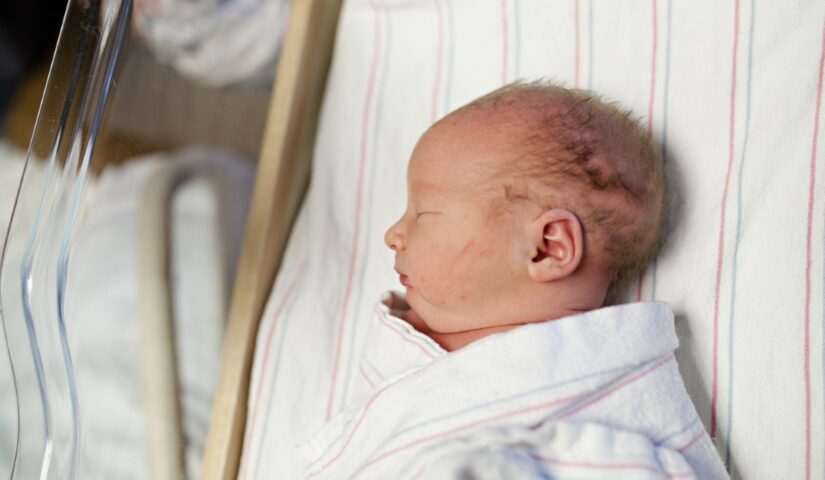 newborn baby in a hospital bassinet 2021 08 30 20 36 51 utc Nemocnica v Leviciach vlani zaznamenala rekordný počet pôrodov