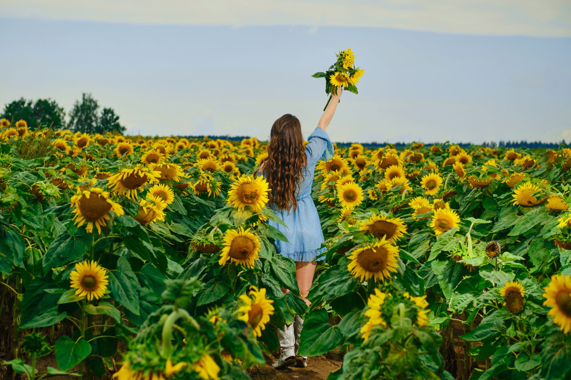 back view of a woman with sunflowers bouquet in ha 2022 05 09 22 46 22 utc Kvíz: Leto je v plnom prúde! Poďte si vyskúšať náš nový horúci kvíz!